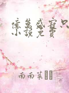 亿万盛宠只为你小说免费