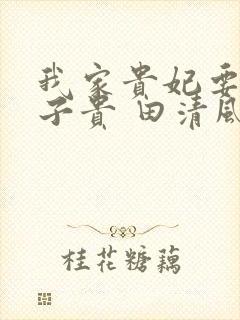 我家贵妃要母凭子贵 田清风
