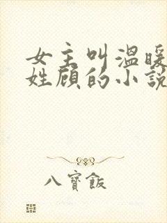 女主叫温暖男主姓顾的小说