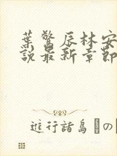 叶惊辰林安玥小说最新章节更新内容