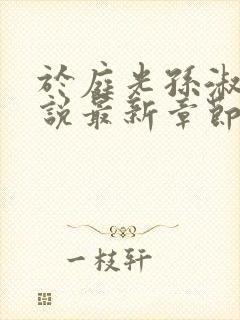 于庭光孙淑贤小说最新章节更新内容