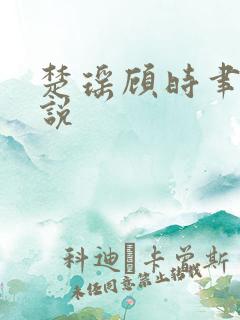 楚瑶顾时聿的小说