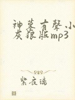 神墓有声小说大灰狼版mp3