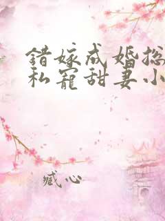 错嫁成婚总裁的私宠甜妻小说