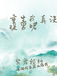 重生我真没想当暖男呢
