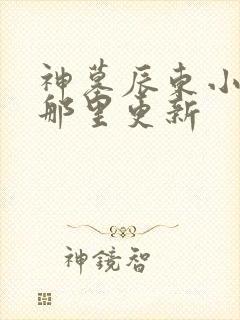 神墓辰东小说在那里更新