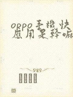 oppo手机快应用是干嘛的