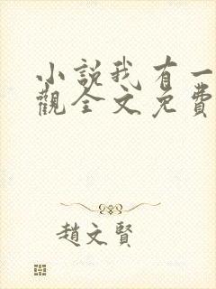 小说我有一剑叶观全文免费阅读