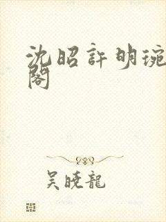 沈昭许明琬笔趣阁