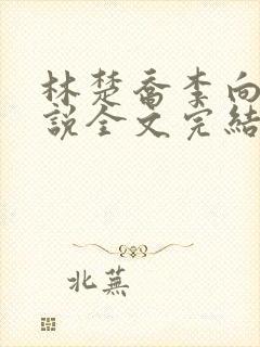 林楚乔李向南小说全文完结版