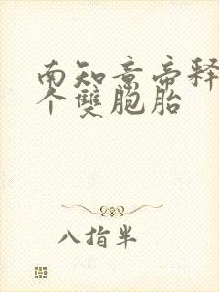 南知意帝释景四个双胞胎