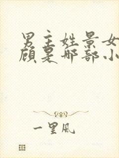 男主姓景女主姓顾是哪部小说