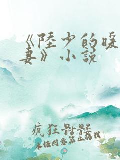 《陆少的暖婚新妻》小说