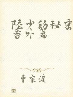 陆少的秘密恋人番外篇