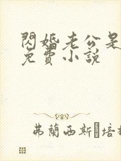 闪婚老公是总裁免费小说