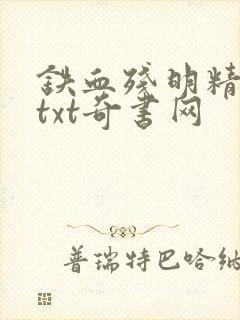 铁血残明精校版txt奇书网