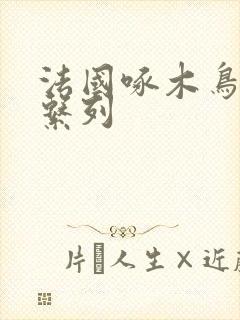 法国啄木鸟影视系列