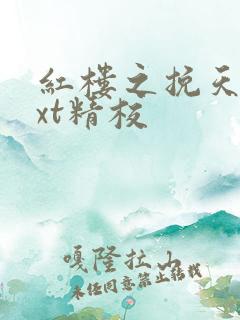 红楼之挽天倾txt精校