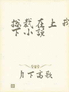 总裁在上 我在下小说