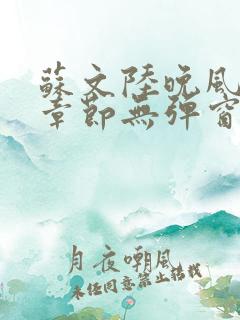 苏文陆晚风最新章节无弹窗笔趣阁