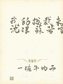 我的总裁未婚妻沈浪 苏若雪