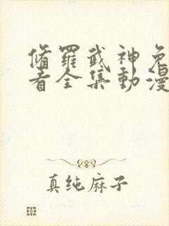 修罗武神免费观看全集动漫高清