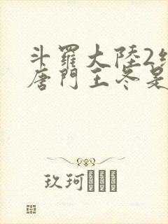 斗罗大陆2绝世唐门王冬是谁