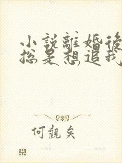 小说离婚后前夫总是想追我免费读