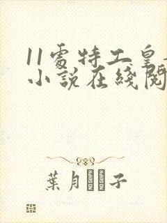 11处特工皇妃小说在线阅读