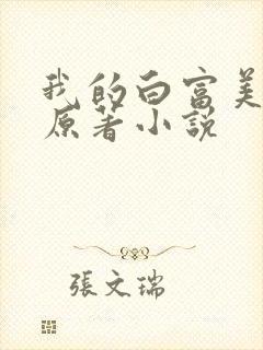 我的白富美老婆原著小说