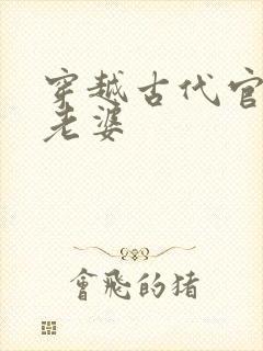 穿越古代官府发老婆