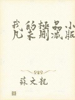 我的极品小姨叶凡未删减版