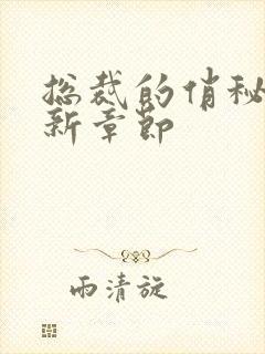 总裁的俏秘书最新章节