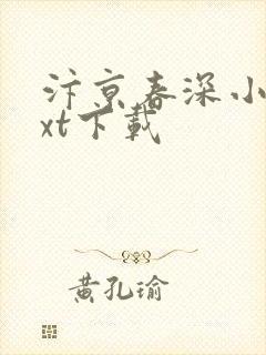 汴京春深小说txt下载