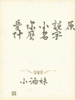 爱你小说原著叫什么名字