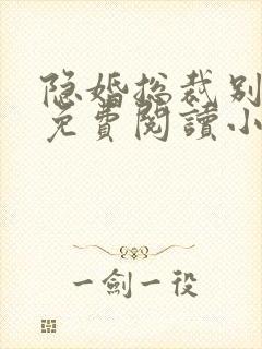 隐婚总裁别太坏免费阅读小说