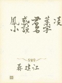 凤惑君叶凌天的小说名字