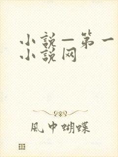 小说—第一版主小说网