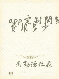 app定制开发费用多少
