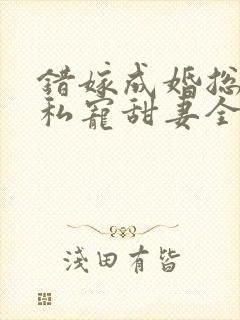 错嫁成婚总裁的私宠甜妻全集