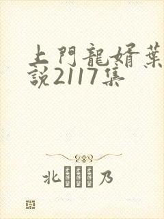 上门龙婿叶辰小说2117集