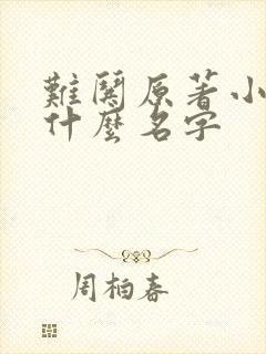 难哄原著小说叫什么名字