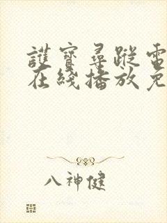 护宝寻踪电视剧在线播放免费观看