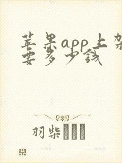苹果app上架要多少钱