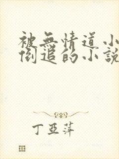 被无情道小师弟倒追的小说