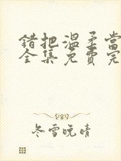 错把温柔当情深全集免费完整版