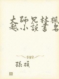 大师兄林枫的穿越小说书名