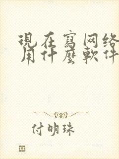 现在写网络小说用什么软件