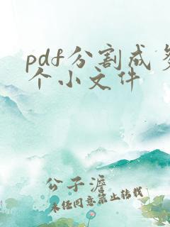 pdf分割成多个小文件