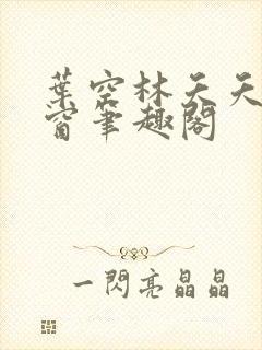 叶空林夭夭无弹窗笔趣阁